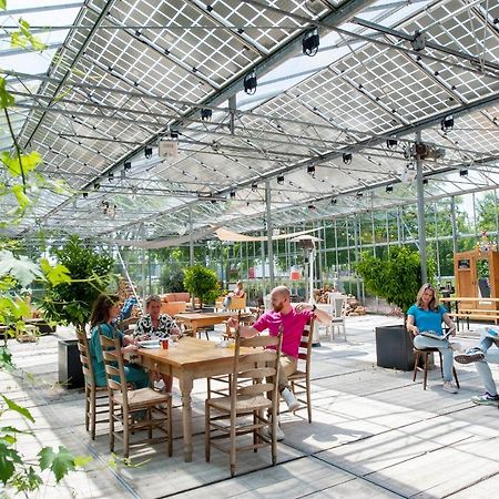 Achterhoeks Goed, Bed & Breakfast In Vragender 외부 사진