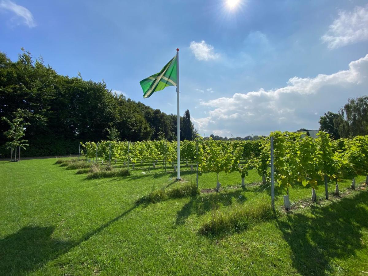 Achterhoeks Goed, Bed & Breakfast In Vragender 외부 사진