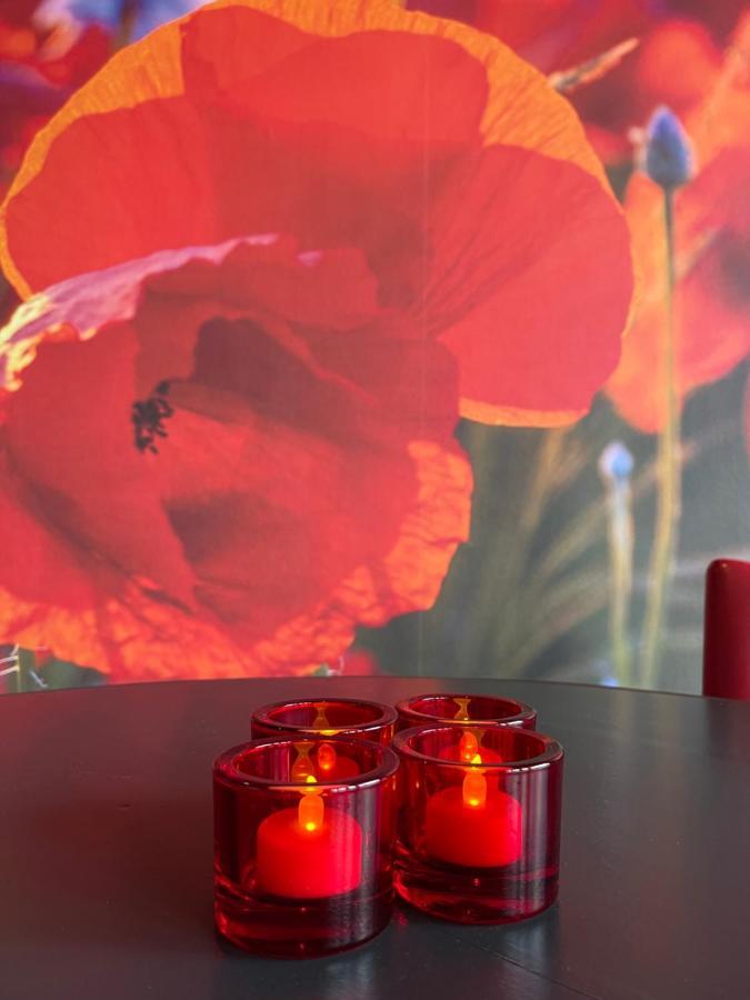 Achterhoeks Goed, Bed & Breakfast In Vragender 외부 사진